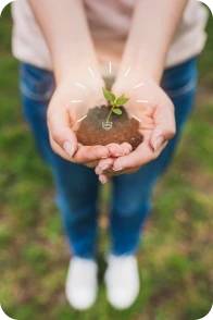 Ganho na sustentabilidade ambiental