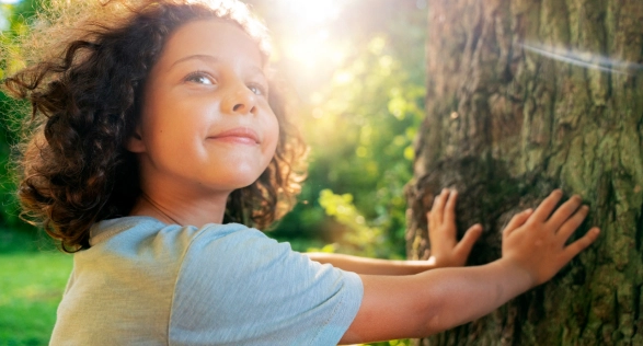 Compromisso com a Sustentabilidade